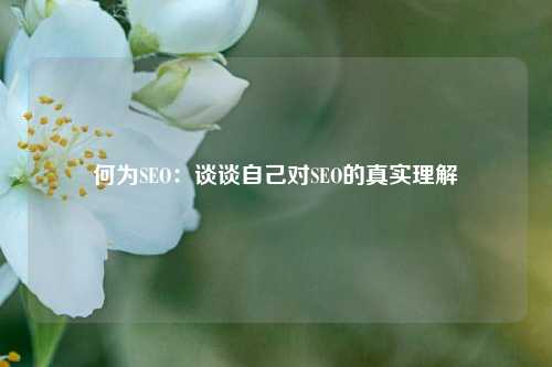 何为SEO：谈谈自己对SEO的真实理解