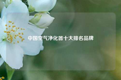 中国空气净化器十大排名品牌