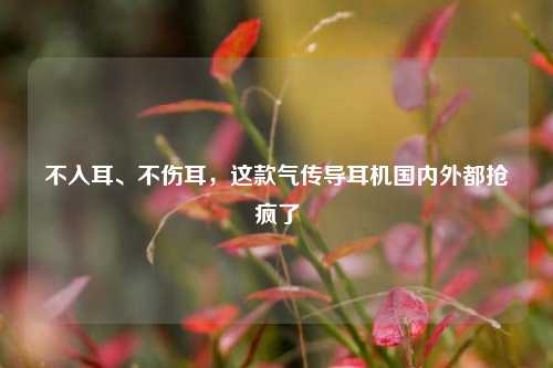不入耳、不伤耳，这款气传导耳机国内外都抢疯了