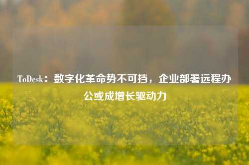 ToDesk：数字化革命势不可挡，企业部署远程办公或成增长驱动力