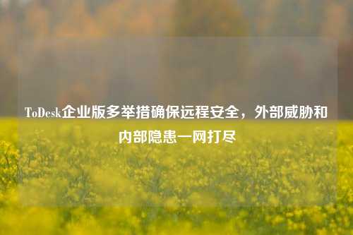 ToDesk企业版多举措确保远程安全，外部威胁和内部隐患一网打尽