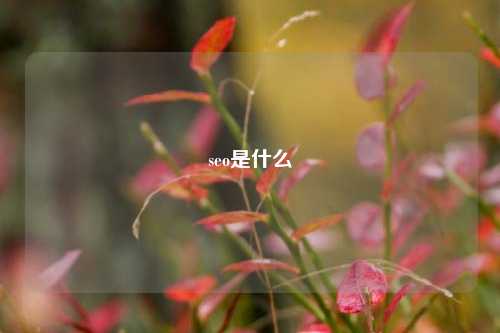 seo是什么