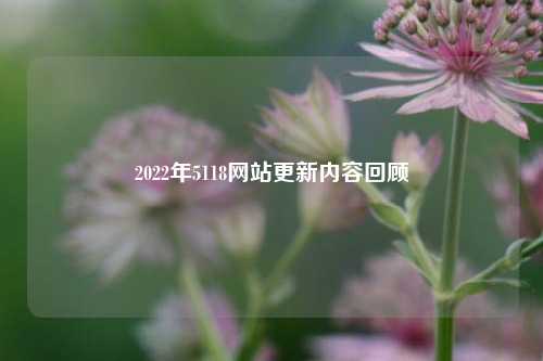 2022年5118网站更新内容回顾