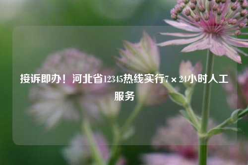 接诉即办！河北省12345热线实行7×24小时人工服务