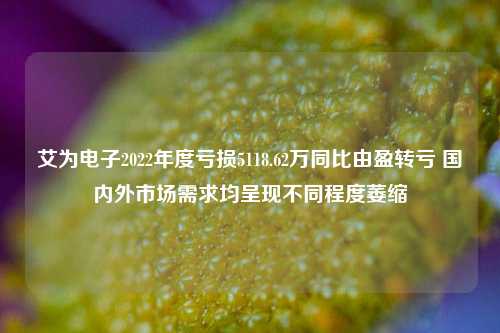 艾为电子2022年度亏损5118.62万同比由盈转亏 国内外市场需求均呈现不同程度萎缩