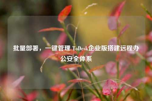 批量部署，一键管理 ToDesk企业版搭建远程办公安全体系