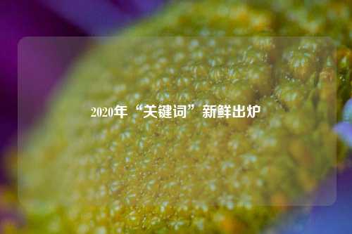 2020年“关键词”新鲜出炉