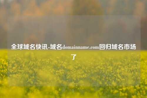 全球域名快讯-域名domainname.com回归域名市场了