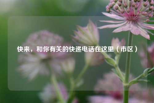 快来，和你有关的快递电话在这里（市区）