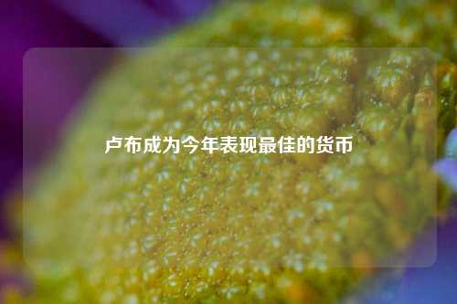 卢布成为今年表现最佳的货币