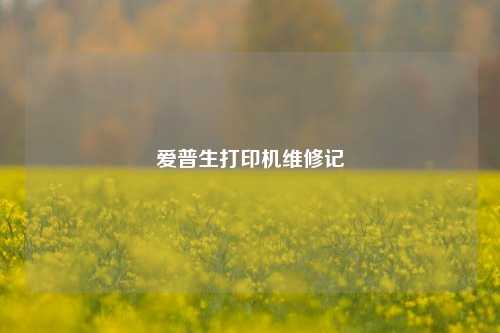 爱普生打印机维修记
