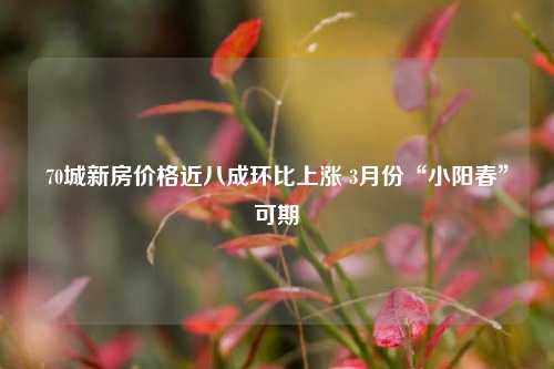 70城新房价格近八成环比上涨 3月份“小阳春”可期