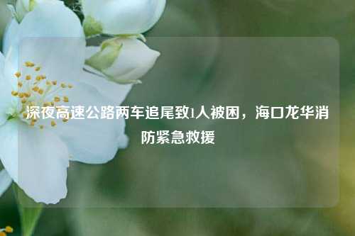 深夜高速公路两车追尾致1人被困，海口龙华消防紧急救援