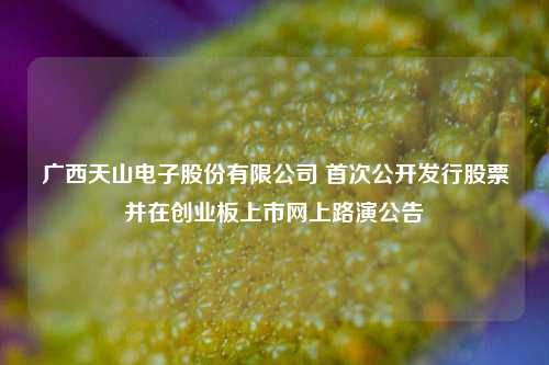 广西天山电子股份有限公司 首次公开发行股票并在创业板上市网上路演公告