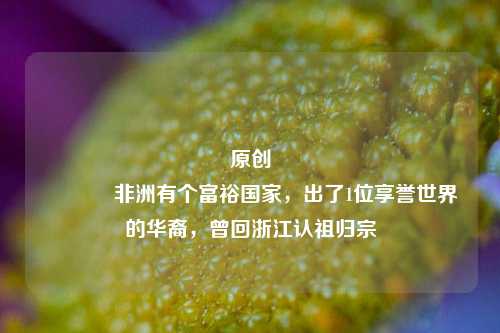 原创
            非洲有个富裕国家，出了1位享誉世界的华裔，曾回浙江认祖归宗