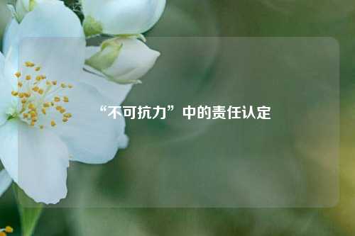 “不可抗力”中的责任认定