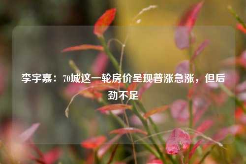 李宇嘉：70城这一轮房价呈现普涨急涨，但后劲不足