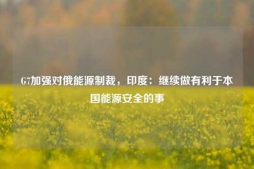 G7加强对俄能源制裁，印度：继续做有利于本国能源安全的事