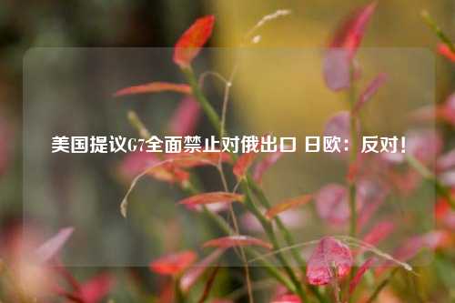 美国提议G7全面禁止对俄出口 日欧：反对！