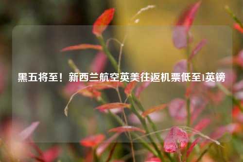 黑五将至！新西兰航空英美往返机票低至1英镑