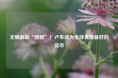 无惧制裁“围殴”！卢布成为全球表现最好的货币