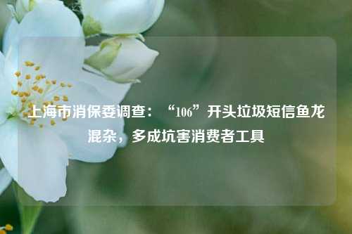 上海市消保委调查：“106”开头垃圾短信鱼龙混杂，多成坑害消费者工具