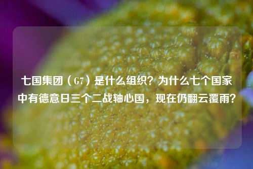 七国集团（G7）是什么组织？为什么七个国家中有德意日三个二战轴心国，现在仍翻云覆雨？