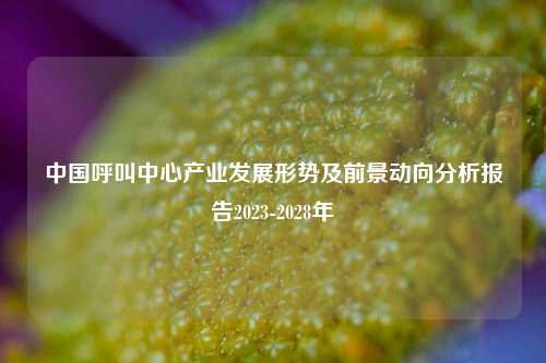 中国呼叫中心产业发展形势及前景动向分析报告2023-2028年