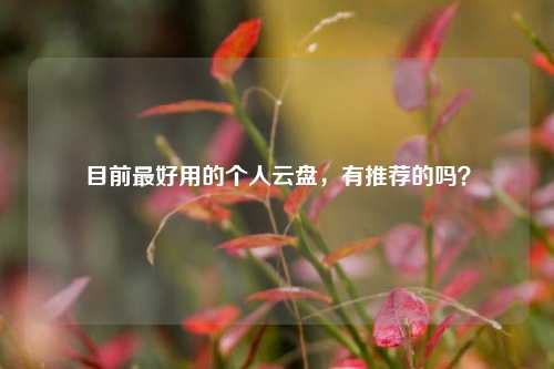 目前最好用的个人云盘，有推荐的吗？