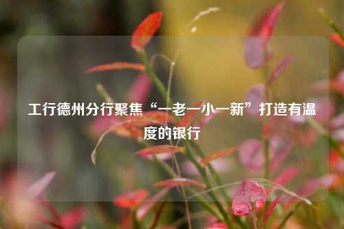 工行德州分行聚焦“一老一小一新”打造有温度的银行