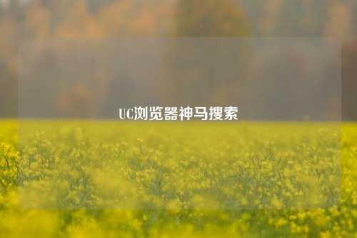 UC浏览器神马搜索