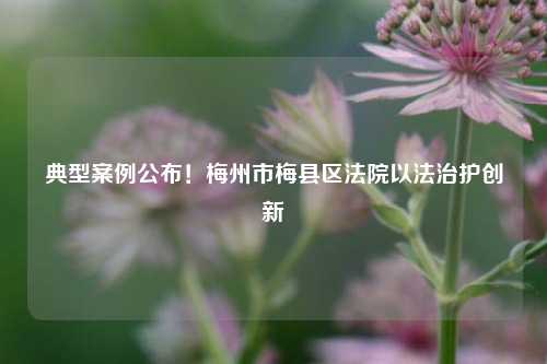典型案例公布！梅州市梅县区法院以法治护创新