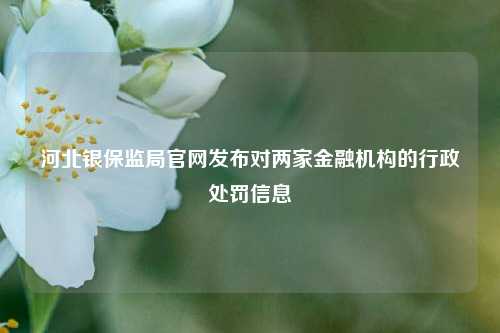 河北银保监局官网发布对两家金融机构的行政处罚信息