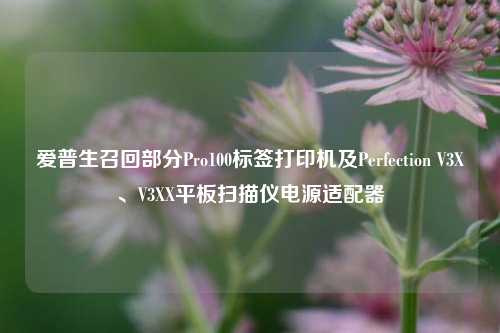 爱普生召回部分Pro100标签打印机及Perfection V3X、V3XX平板扫描仪电源适配器
