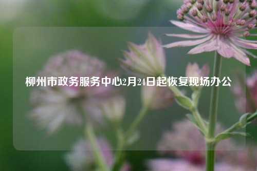 柳州市政务服务中心2月24日起恢复现场办公