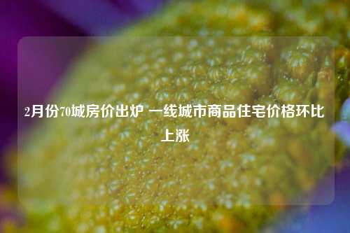 2月份70城房价出炉 一线城市商品住宅价格环比上涨