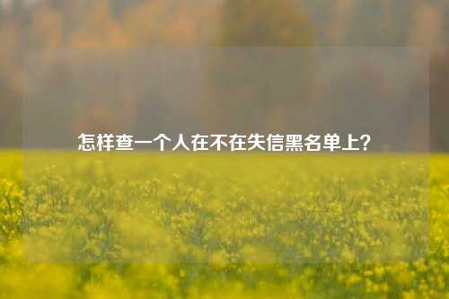 怎样查一个人在不在失信黑名单上？