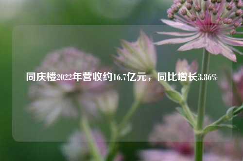 同庆楼2022年营收约16.7亿元，同比增长3.86%