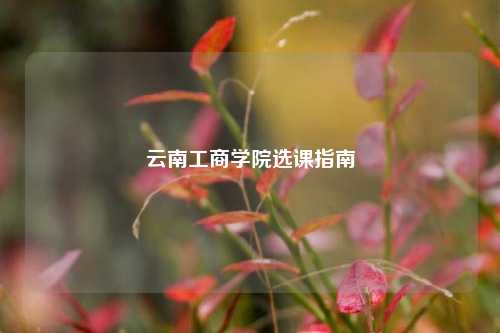 云南工商学院选课指南