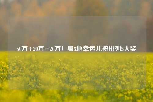 50万+20万+20万！粤3地幸运儿揽排列5大奖