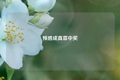 预感成真喜中奖