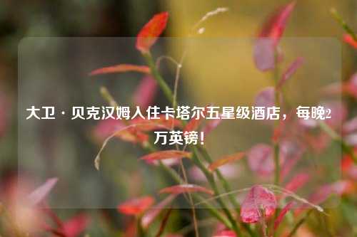 大卫·贝克汉姆入住卡塔尔五星级酒店，每晚2万英镑！