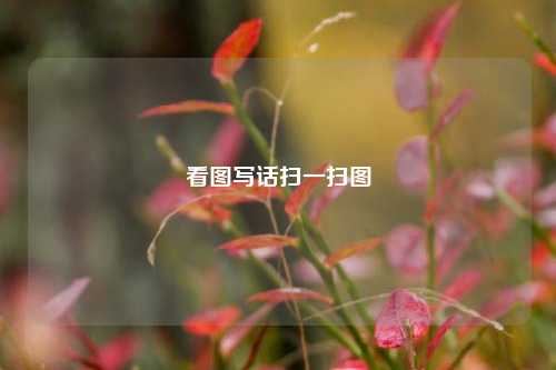 看图写话扫一扫图
