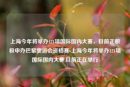 上海今年将举办121项国际国内大赛，目前正积极申办巴黎奥运会资格赛-上海今年将举办121项国际国内大赛,目前正在举行